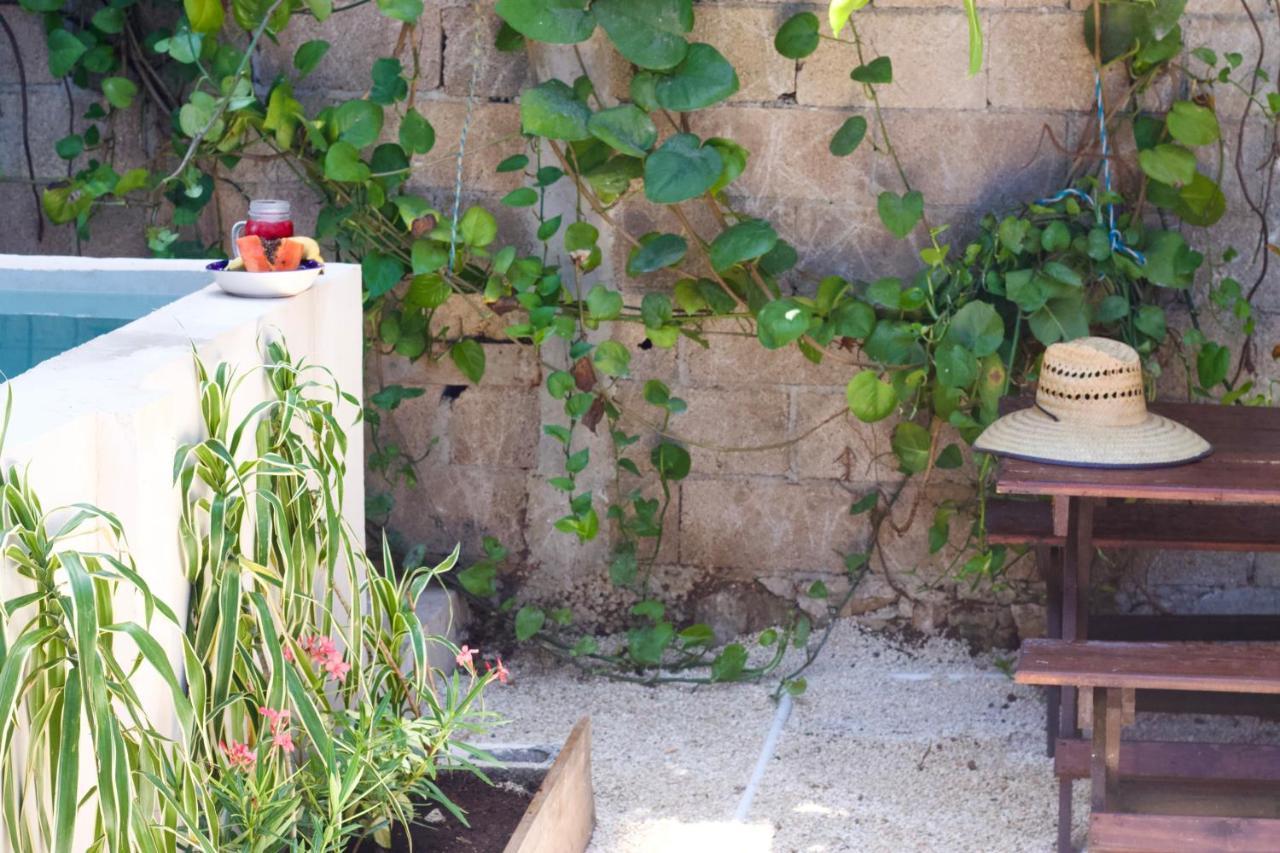 Casa Del Artista - B&B Playa del Carmen Extérieur photo