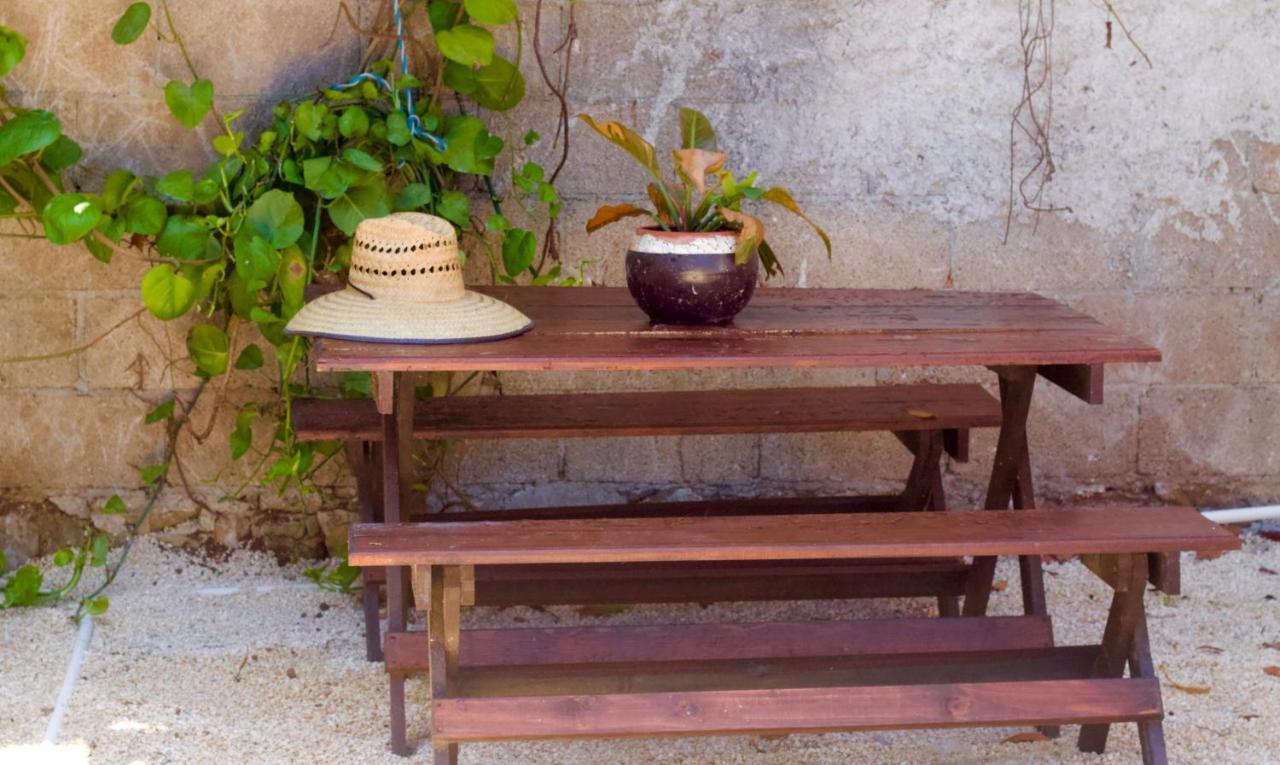 Casa Del Artista - B&B Playa del Carmen Extérieur photo